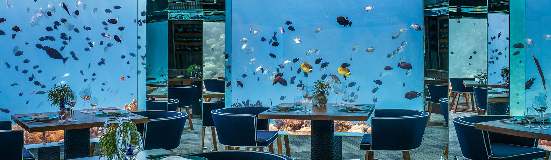 Laucala Island Resort